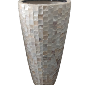 MUSCHEL NEU (SHELL NEW)